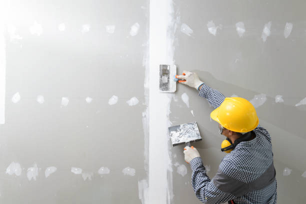 Best Post-Construction Mold Inspection  in USA